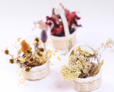 �N���b�N����ƁA�傫�ȉ摜���������������܂�