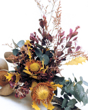 �N���b�N����ƁA�傫�ȉ摜���������������܂�