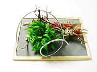 �N���b�N����Ƒ傫�Ȏʐ^���������������܂��B