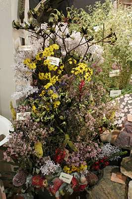 �N���b�N����Ƒ傫�Ȏʐ^���������������܂��B