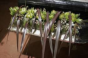 �N���b�N����Ƒ傫�Ȏʐ^���������������܂��B