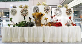 �N���b�N����Ƒ傫�Ȏʐ^���������������܂��B