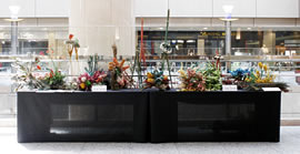 �N���b�N����Ƒ傫�Ȏʐ^���������������܂��B