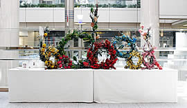 �N���b�N����Ƒ傫�Ȏʐ^���������������܂��B