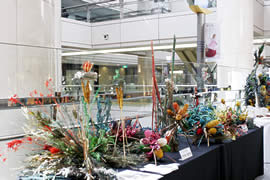 �N���b�N����Ƒ傫�Ȏʐ^���������������܂��B