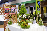 �N���b�N����Ƒ傫�Ȏʐ^���������������܂��B