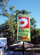 �N���b�N����Ƒ傫�Ȏʐ^���������������܂�