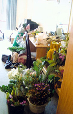 �N���b�N����Ƒ傫�Ȏʐ^���������������܂�