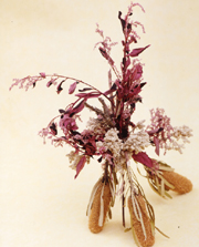 �N���b�N����ƁA�傫�ȉ摜���������������܂�