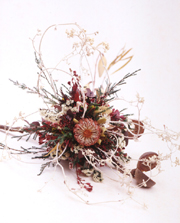 �N���b�N����ƁA�傫�ȉ摜���������������܂�