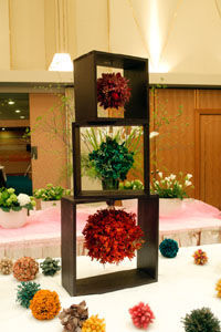 �N���b�N����Ƒ傫�Ȏʐ^���������������܂��B