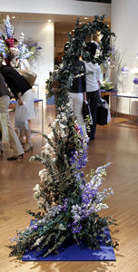 �N���b�N����Ƒ傫�Ȏʐ^���������������܂��B