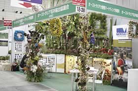 �N���b�N����Ƒ傫�Ȏʐ^���������������܂��B