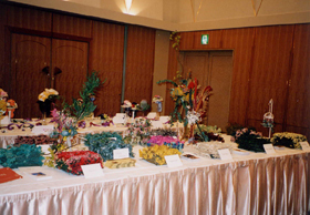 �N���b�N����Ƒ傫�Ȏʐ^���������������܂��B