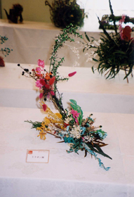 �N���b�N����Ƒ傫�Ȏʐ^���������������܂��B